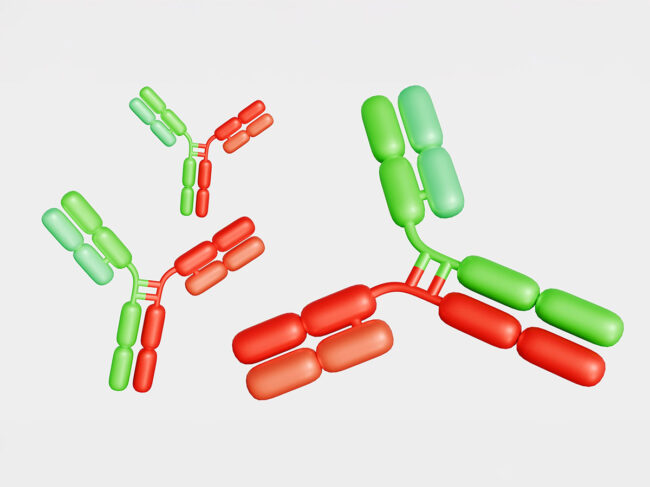 Green and red bispecific antibodies