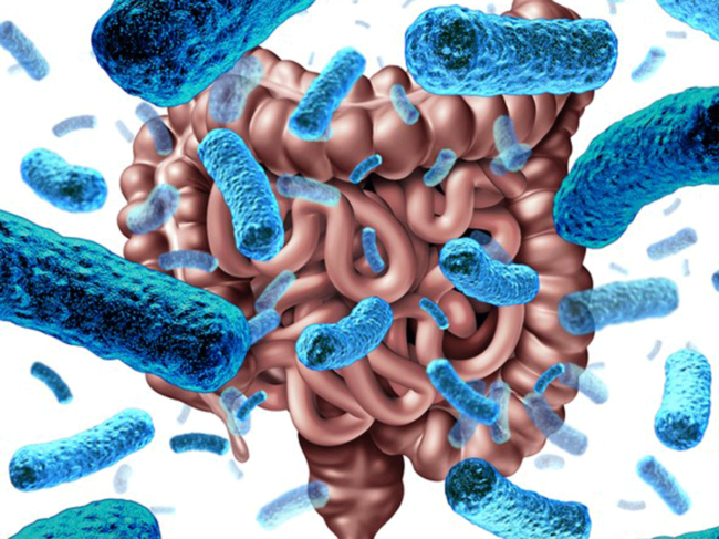 Microbiome illustration