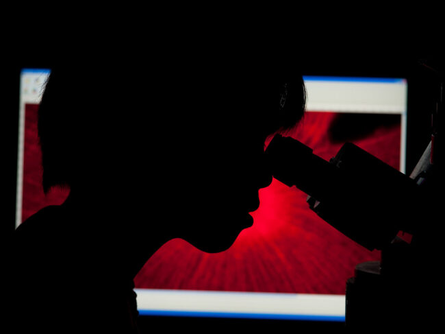 NIH researcher looking through a microscope