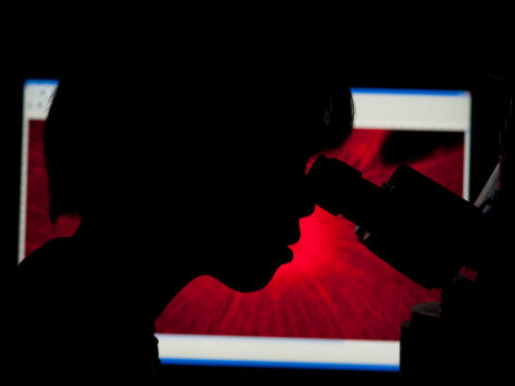 Researcher looking through a microscope