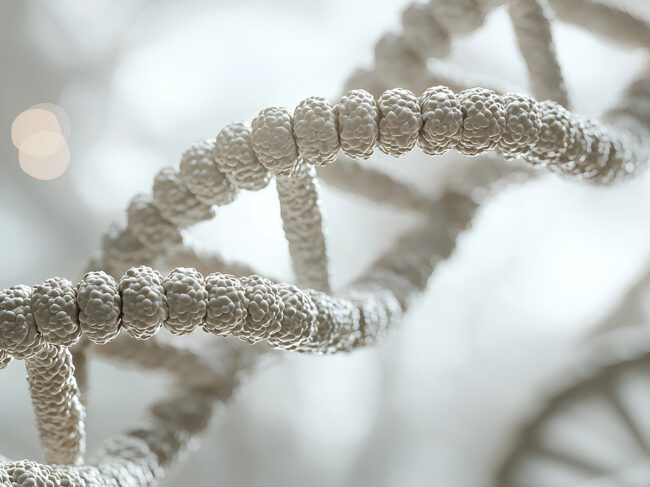 White strand of DNA