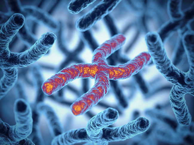 3D illustration of chromosomes