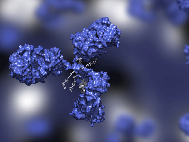 Antibody-drug conjugate