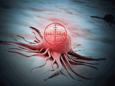 Cancer cell and target