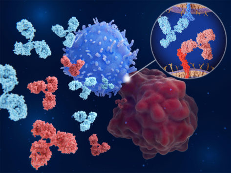 Immuno oncology checkpoint inhibitors pd1 pdl1