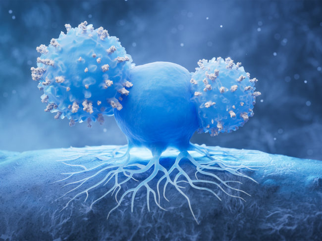 Illustration of T cells attacking tumor