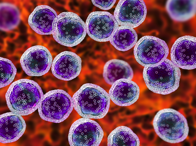 3D illustration of B-cell lymphoma