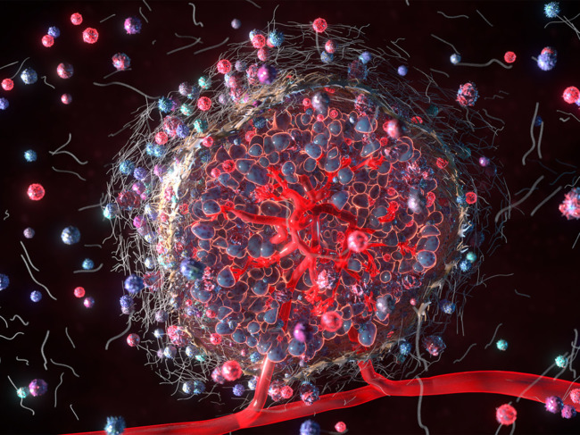 3D Rendering of tumor microenvironment