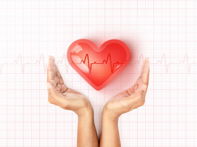 Female hands holding heart on cardiogram