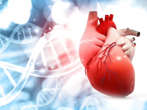 Illustration of human heart with DNA structure background