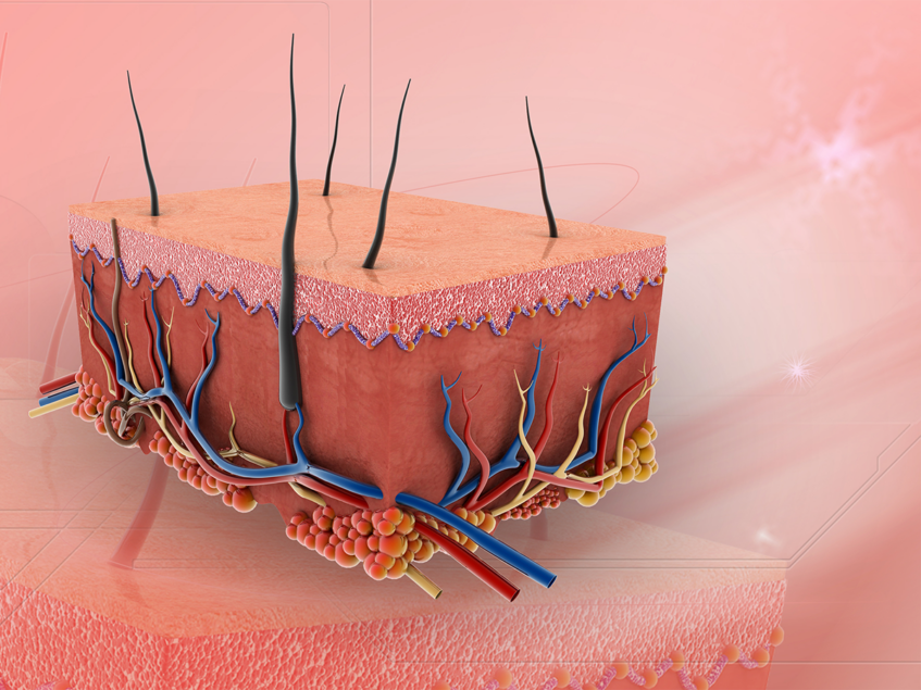 Derm-Biome to begin IND-enabling studies with DB-007-4 for inflammatory ...