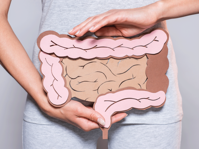 Partial view of woman holding paper made intestines over stomach