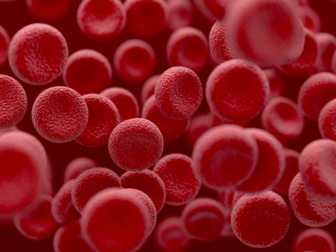 Red blood cells