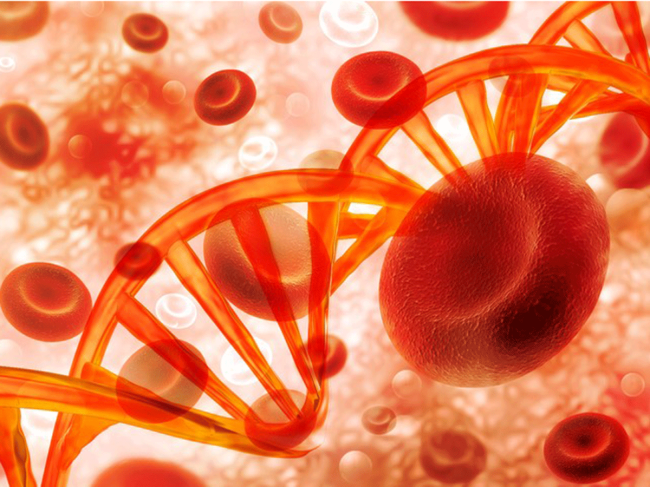 Red-blood-cell-DNA.png