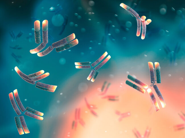 Art concept for monoclonal antibodies