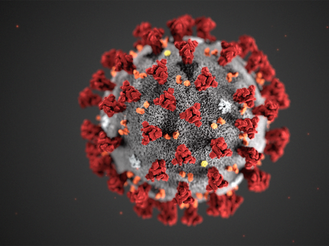 Coronavirus microscopic model