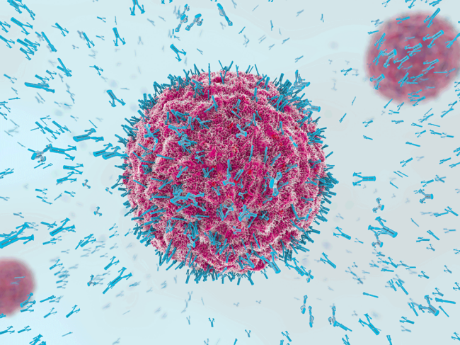 Antibodies attacking virus cell