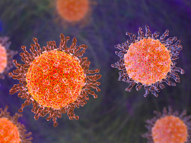 Illustration of herpes simplex virus particles