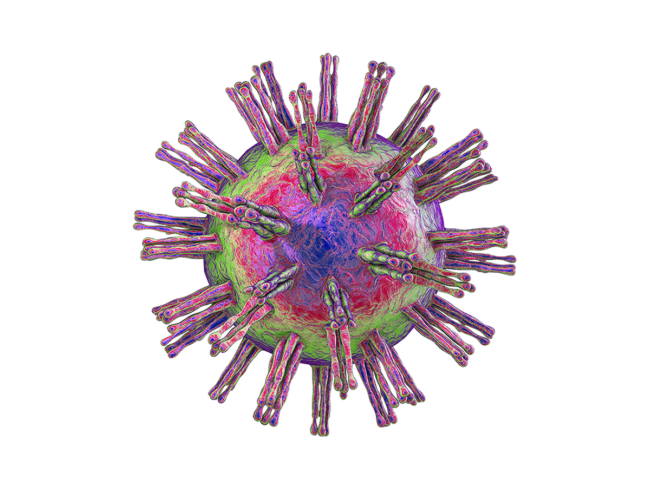 Herpes simplex virus