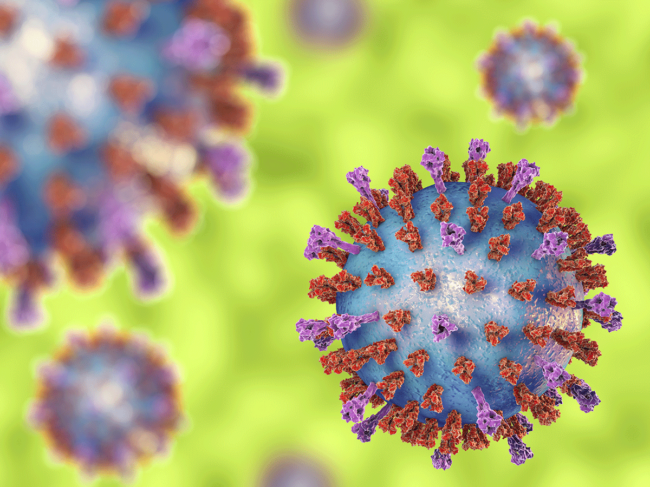 Respiratory syncytial virus, 3D illustration