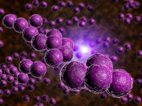 Staphylococcus aureus staph bacteria infection