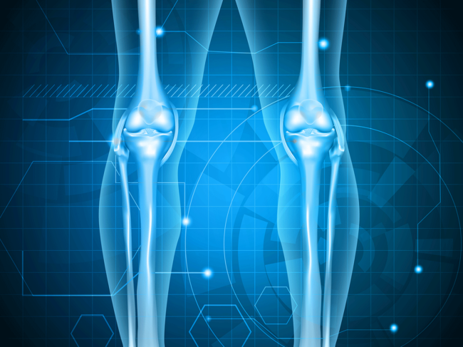 Tibia, fibula, femor and knee illustration