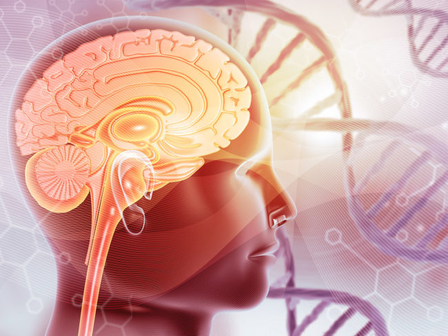 Illustration of human brain and dna