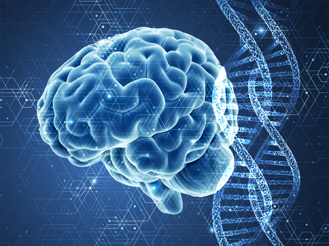 Illustration of brain, DNA