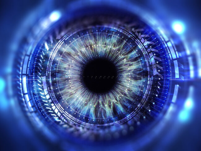 Eye with digital overlay