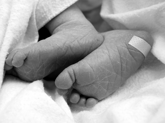 Newborn feet