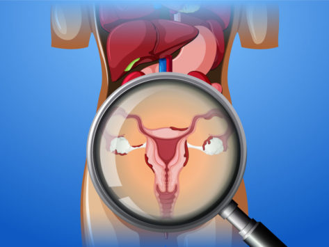 Illustration of female reproductive system under magnifying glass